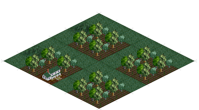 Coffee Estate