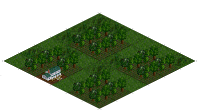 Fruit Plantation