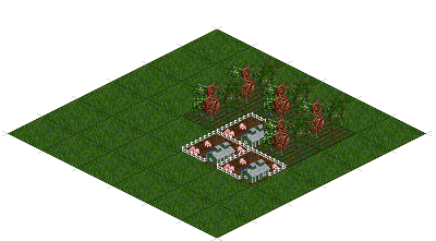 Orchard and Piggery