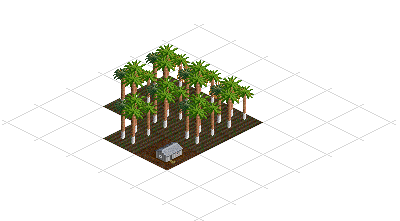 Rubber Plantation